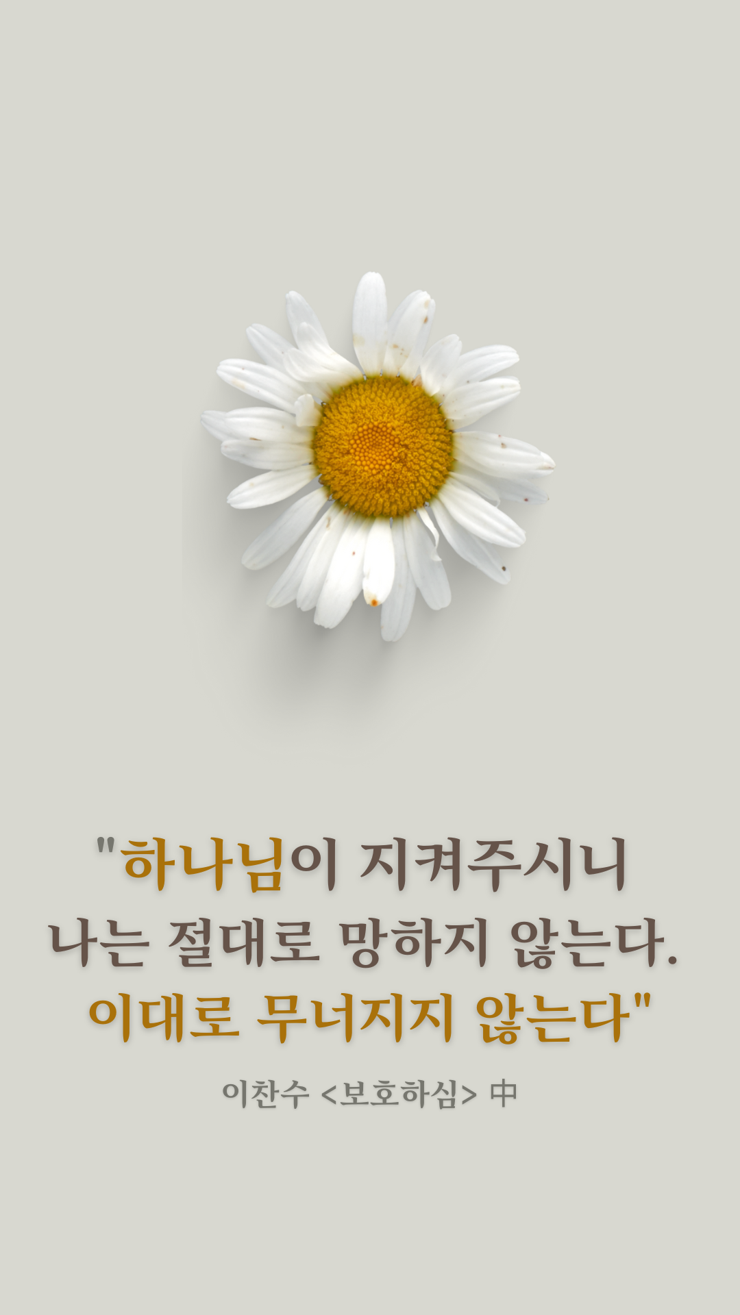 Daisy Chamomile Motivational Quote Phone Wallpaper (1).png