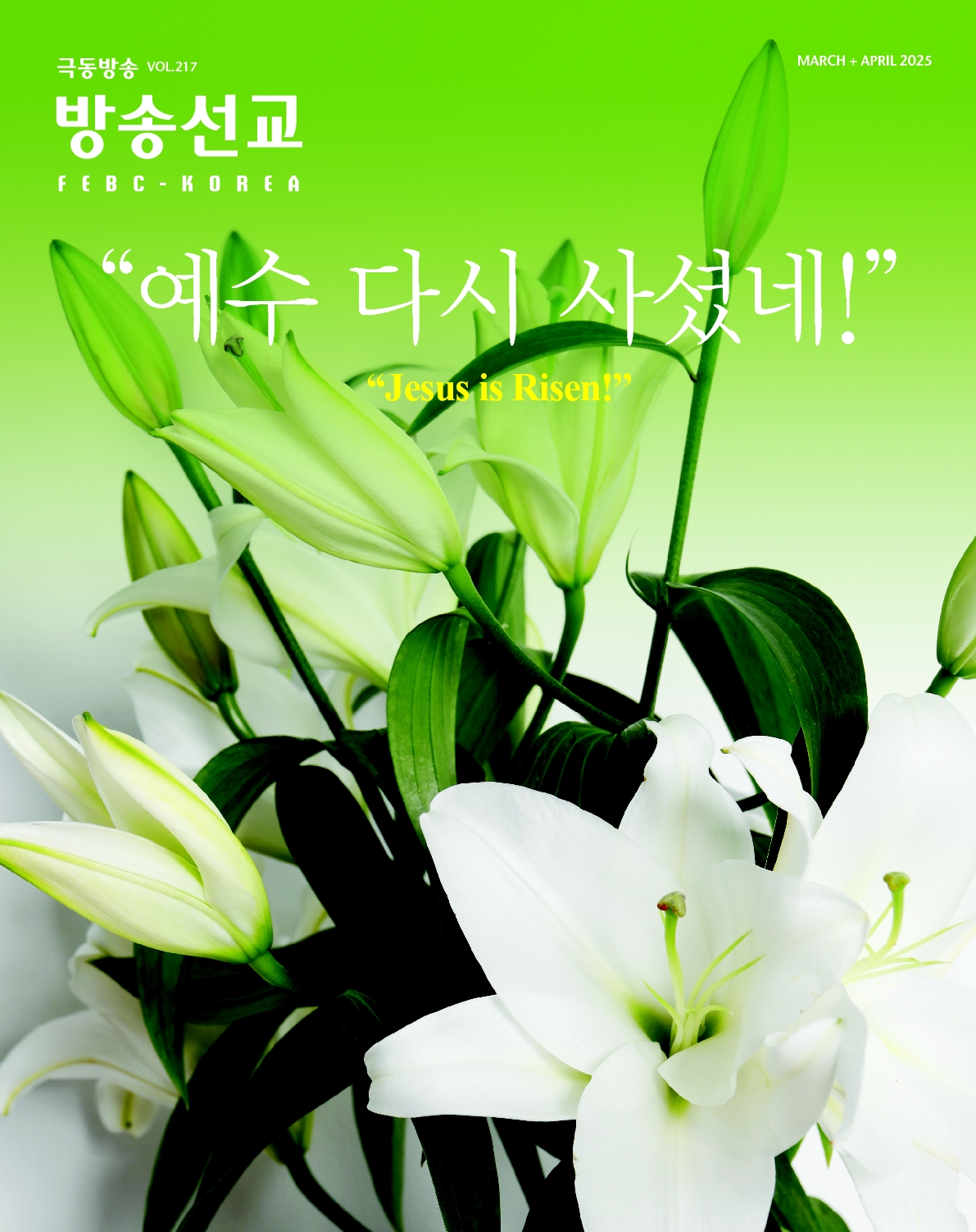 선교 소식지 이미지